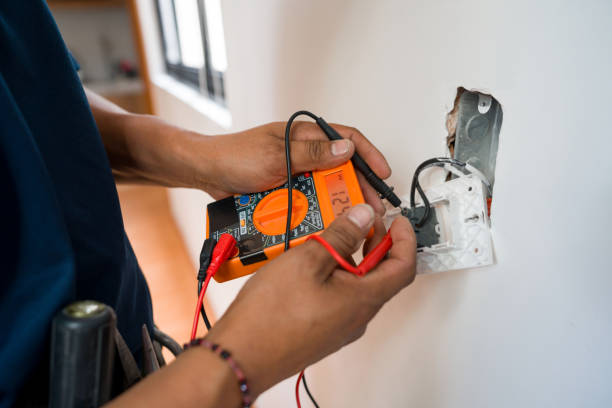 Best Local Electrician Companies  in Weidman, MI