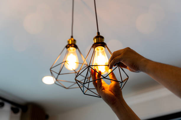 Best Electrical Repair Services  in Weidman, MI