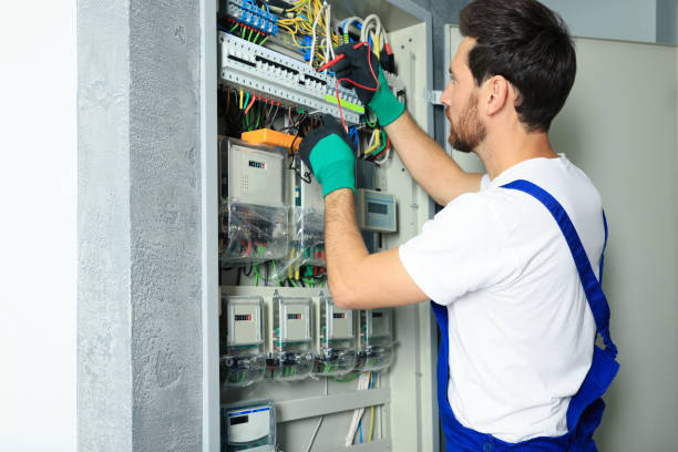 Best Electrical Repair Services  in Weidman, MI